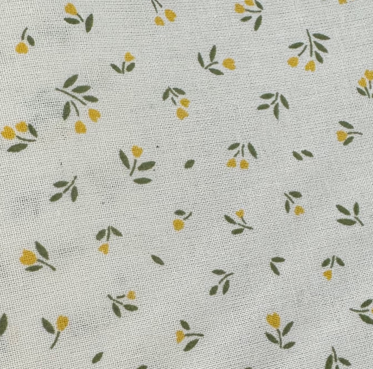 TULIPES